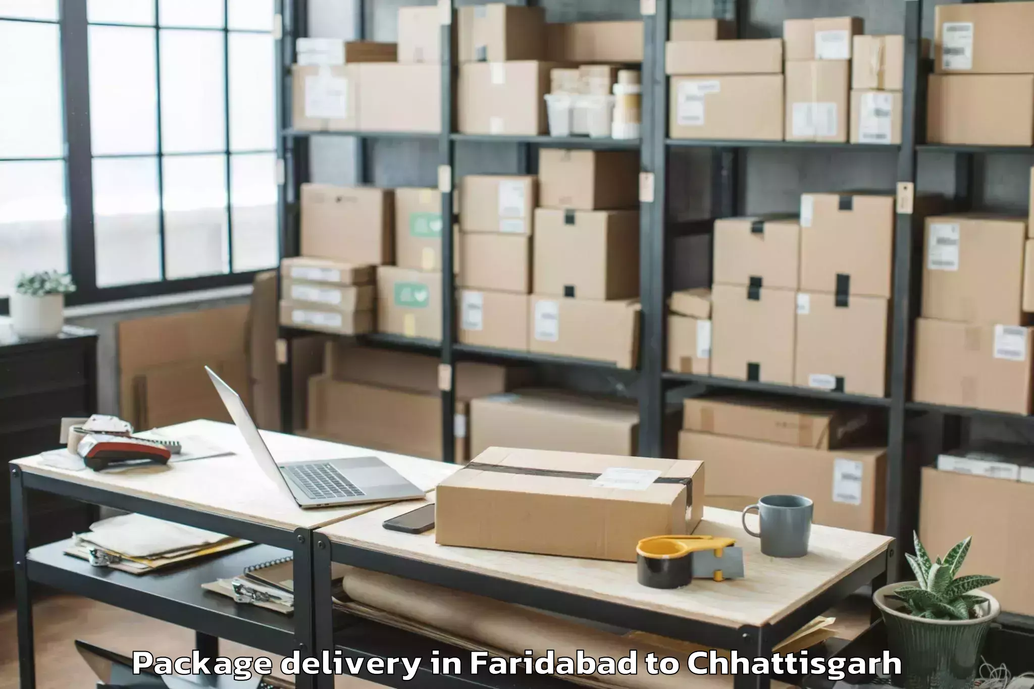 Book Faridabad to Kasdol Package Delivery Online